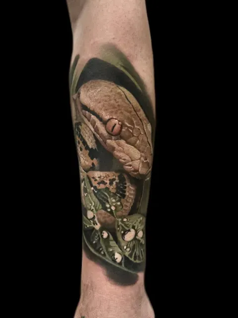 Serpent réaliste sur des feuilles vertes avec gouttes d’eau, Color Realism sur l’avant-bras