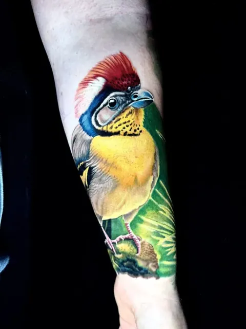 Oiseau tropical coloré en style Color Realism sur l’avant-bras – tatouage Zurich