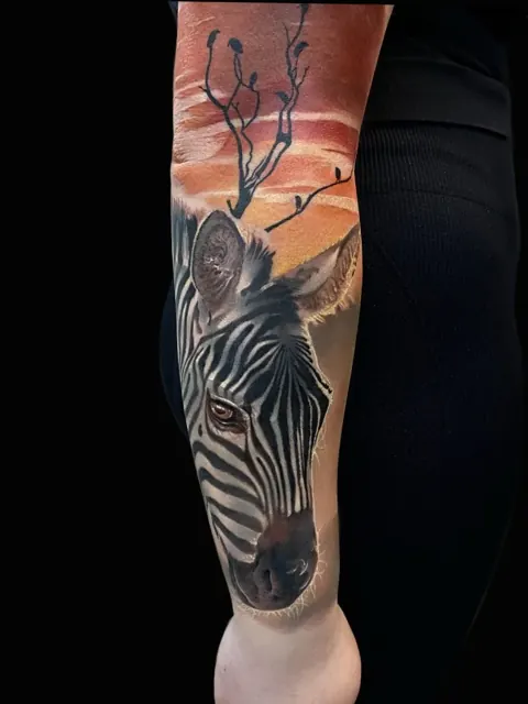 Zèbre devant un coucher de soleil sur la savane, Color Realism sur l’avant-bras